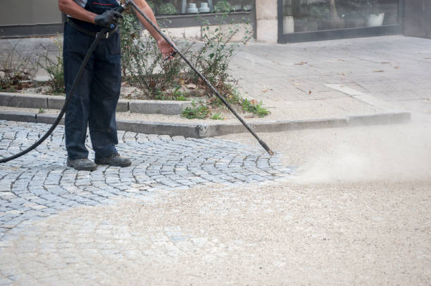 Best Roof Washing  in Midlothian, VA
